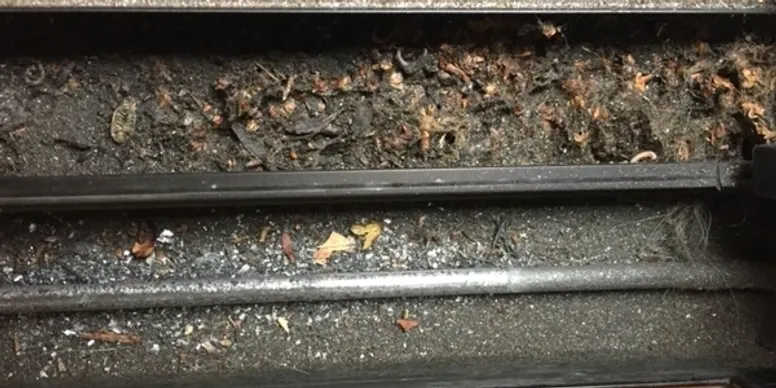 A close up of leaves on the ground next to train tracks.